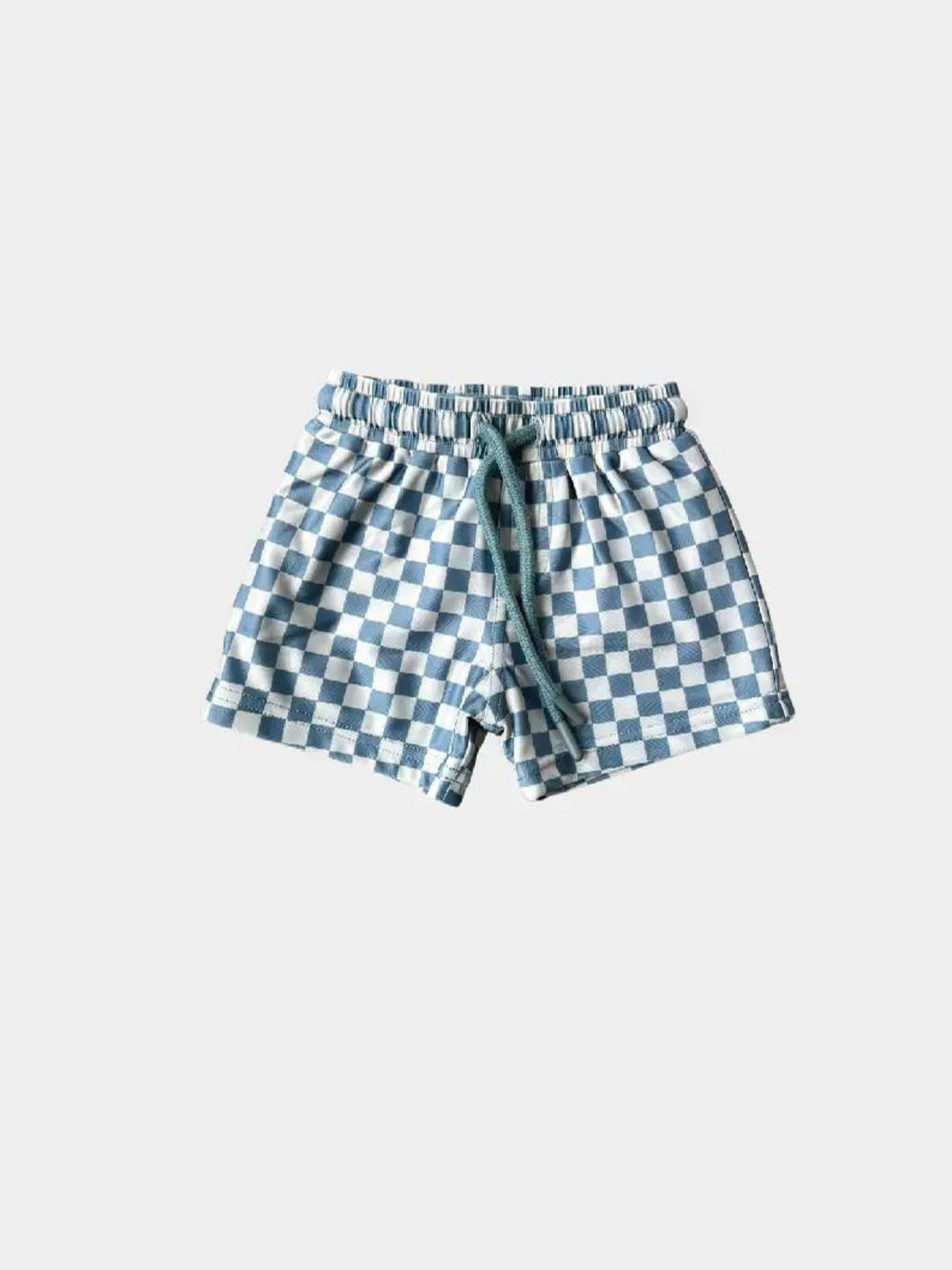 Blue Green Check Swim Shorts